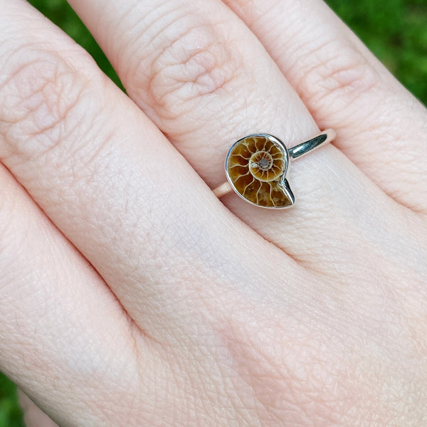 Petite Ammonite Ring | Sterling Silver Size 4 5 6 7 8 9 10 | Light Years