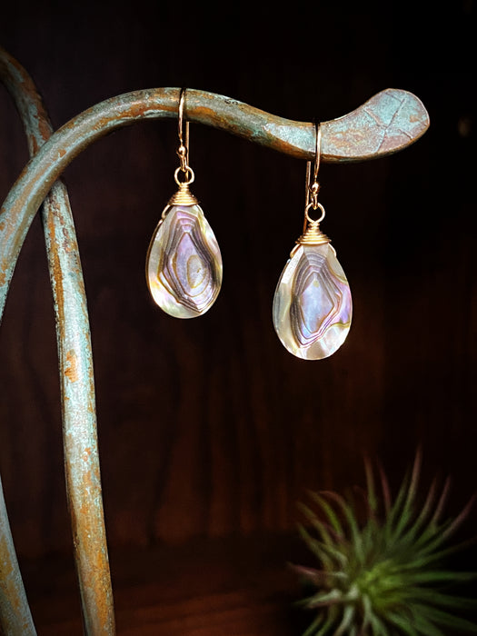 Alchemy Faceted Abalone Teardrop Dangles by Anne Vaughan | Gold Filled Earrings | Light Years