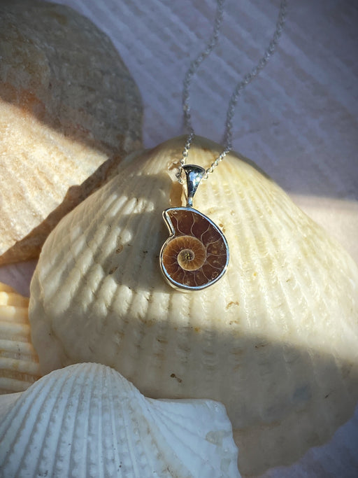 Ammonite Pendant Necklace | Sterling Silver Chain | Light Years Jewelry