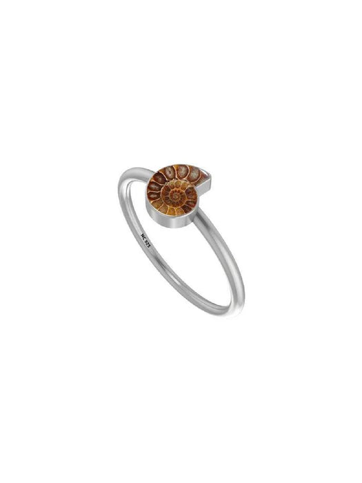 Petite Ammonite Ring